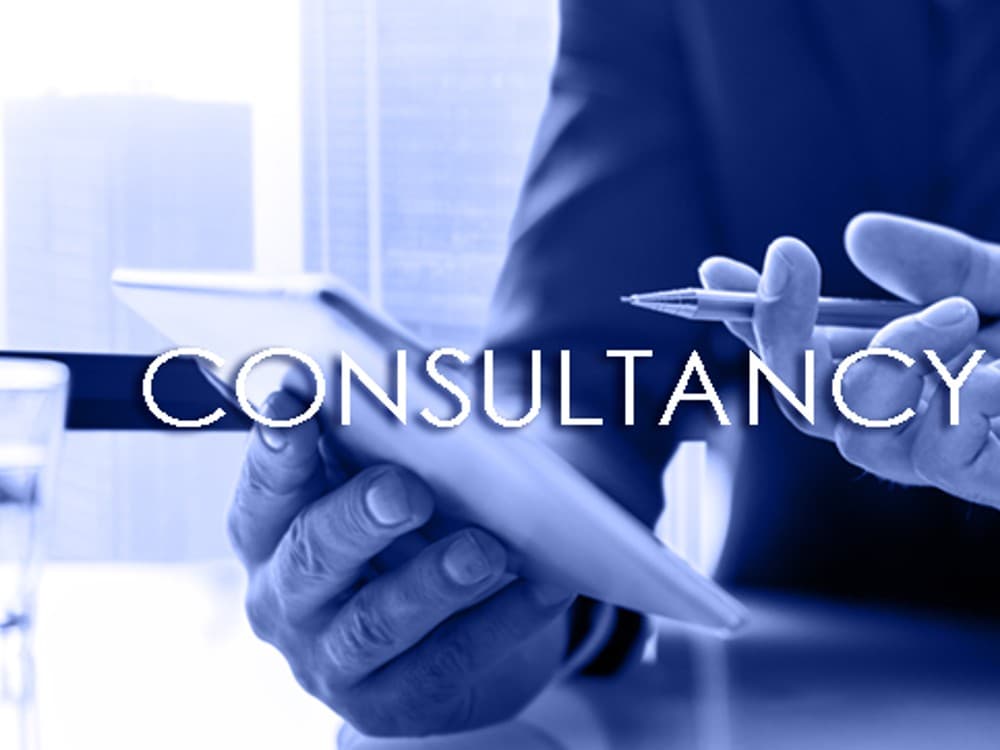 Business Consultancy services photo 1